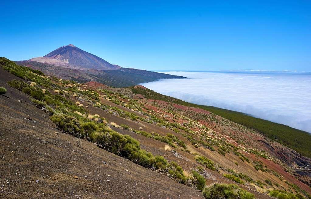 Hotel Meliá Jardines Del Teide 5*